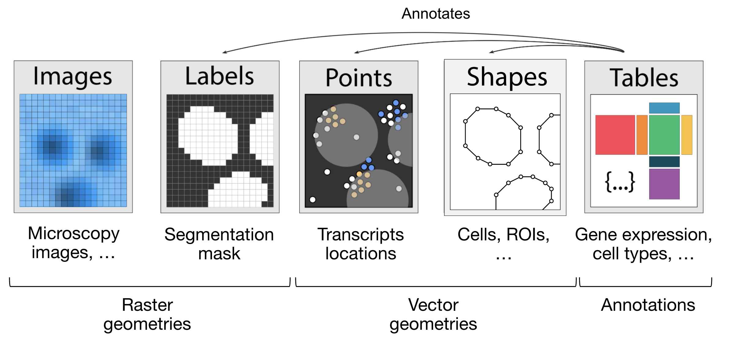 SpatialData Elements