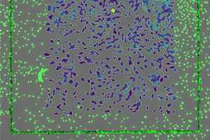 ../../_images/spacem_helanih3t3.png