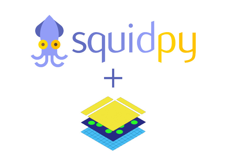 ../../_images/squidpy_integration.jpg