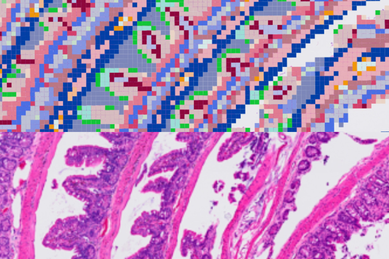 ../../_images/visium_hd.jpg